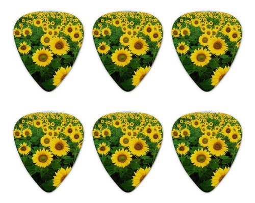 Field Of Sunflowers Púas Para Guitarra (calibre Medio, Juego