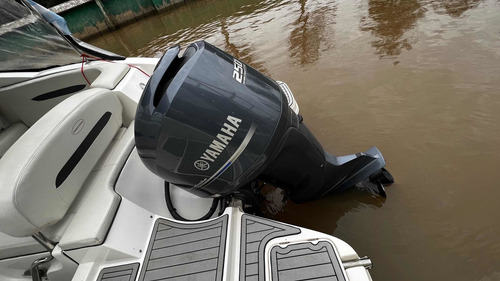 Imagen 23 de 25 de Lancha Cuddy Canestrari 245 Fuera De Borda Yamaha 250 Hp