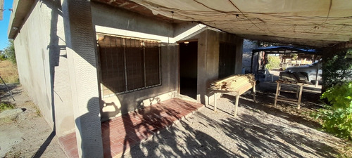Imagen 6 de 12 de Finca 4 Has. G Alvear Mendoza. 100% En Producción. Casa Y Galpón. Sobre Asfalto. Podría Considerar Alguna Permuta Que No Sea Inmueble. Precio Conversable.
