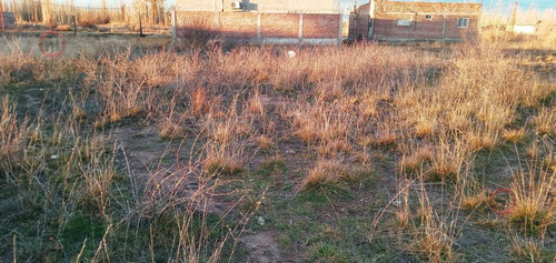 Imagen 2 de 4 de Venta - Lote 450 M2 - Loteo Amanecer - Cinco Saltos - Rio Negro