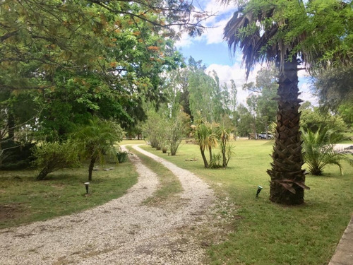 Hermosa Chacra En Camino De Los Ceibos, 1,5 Hectareas, Ideal Para Eventos- Ref: 4107