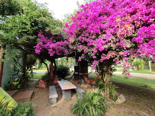 1 Alquilo Casita Divina Y Libre! A 1 Cuadra Y Media De La Playa, Aire Acond, Parrillero, Wifi, Jardin Con Estacionamiento