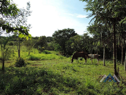 Chácara Com 1 Dormitório À Venda, 8000 M² Por R$ 480.000,00 - Gleba Ribeirão Cafezal - Londrina/pr - Ch0031