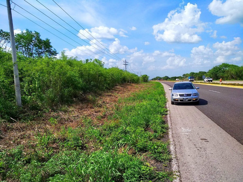 Imagen 3 de 6 de Terreno En Venta En Chochola De 356m Frente A Carretera Meri