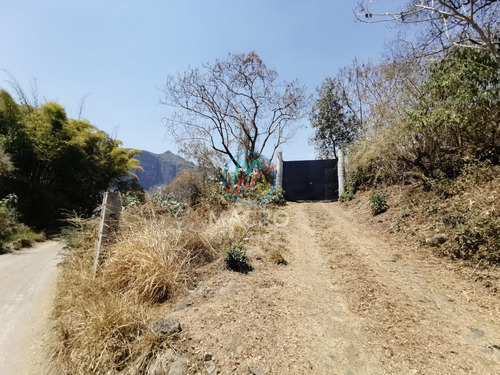 En Venta Amplio Terreno En Tlayacapan Morelos Ideal Para Invertir En Proyecto De Construccion O Cultivo