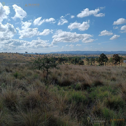 12 Hectareas En Venta Sobre Ruta S 271 | Vistas Unicas