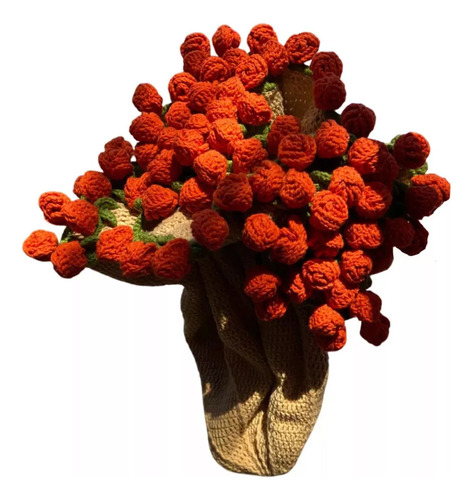 Yo Kit Crochet Manta Flores Juego Tejido Tejido