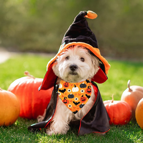 Pañuelo Para Mascotas Multicolor Diseño Halloween Juego 2 Pz