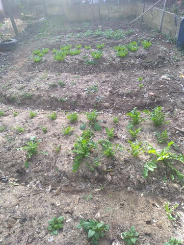 Imagem 9 de 14 de Chácaras À Venda Em Mairiporã/sp - Compre O Seu Chácaras Aqui! - 1481784