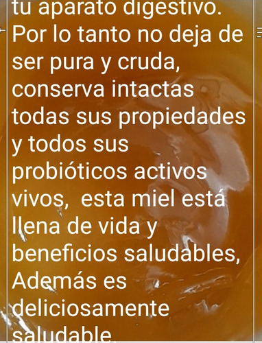 Miel Pura Y Cruda Multifloral Orgánica 1 Kg En Pote