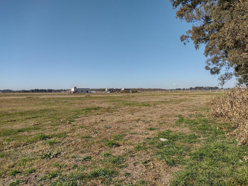 Imagen 11 de 18 de Lote De 1000m2 En Club De Campo Los Tres Pinos - Barrio Isla - General Rodríguez