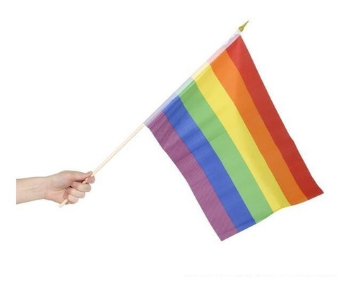 12 Banderas Arcoiris 30 Cm X 45 Cm Orgullo Gay Fiesta Lgbt