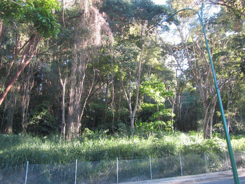Terreno En Venta Los Naranjos Del Cafetal Jose Carrillo Bm Mls #24-22900