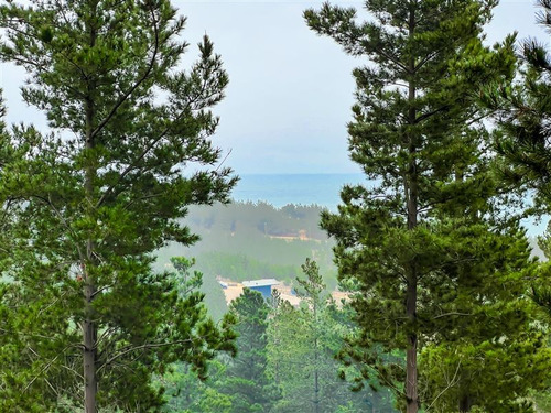Sitio En Venta En Boyeruca, Loteo Alto Boyeruca