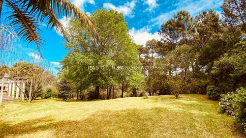 Casa En Venta De 3 Dormitorios En Tio Tom Punta Ballena- Ref: 4351