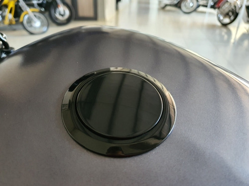 Imagen 15 de 15 de Harley Davidson Sportster Iron 883