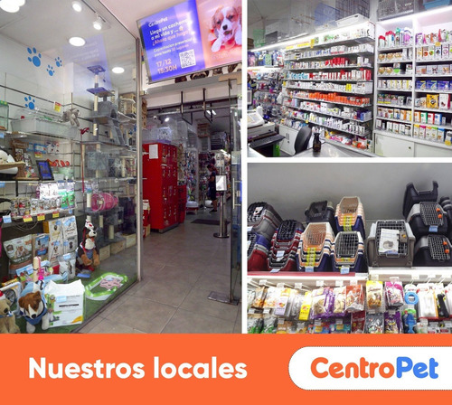 Imagen 7 de 8 de Arena Chinchilla Baño Roedores Jerbos Hamsters Promo Casa