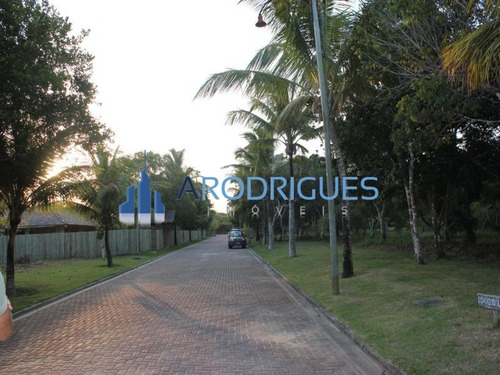 Imagem 20 de 20 de Ótimo Terreno À Venda Localizado Em Trancoso Todo Documentado E Levantamento Topográfico! - Te00126