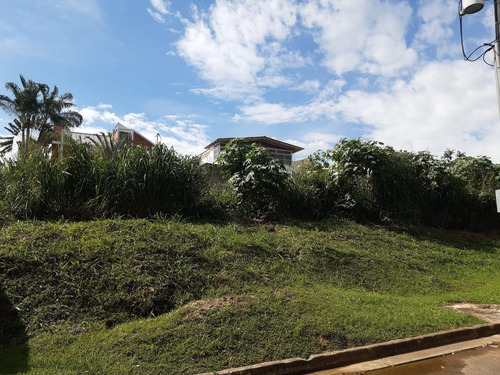 Imagen 4 de 8 de Se Vende Terreno En Altos De Guataparo Att- Angela Betancourt 04125067379 04244900499