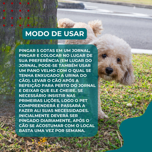 Tapete Ultra Secão Greatpets 80x60 Carvão + Educador PipiPod