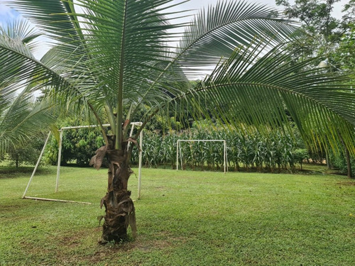 Imagen 3 de 30 de Preciosa Quinta-finca En Labrador De San Mateo De Alajuela, Todos Los Servicios