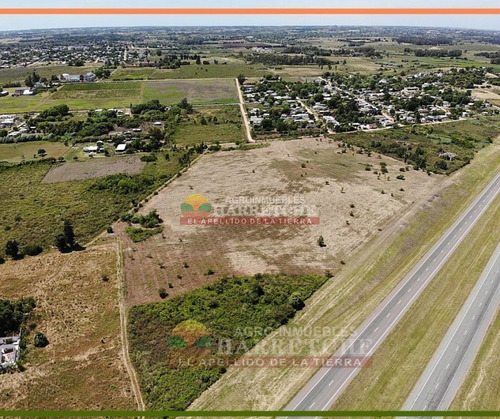 Imagen 8 de 14 de Terreno En Alquiler 44.857 M2 Urbanos Ruta 5 Apto Parque Industrial U$s 0.10 (el M2)
