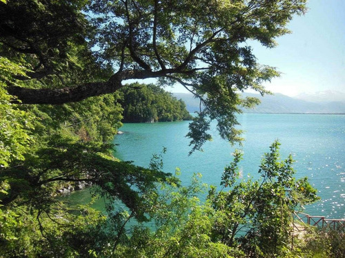 Imagen 3 de 30 de Isla Cui Cui Lago Puyehue 0