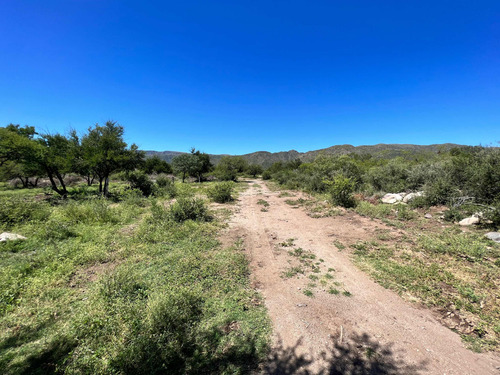 Tres Hectareas En San Francisco Del Monte De Oro.