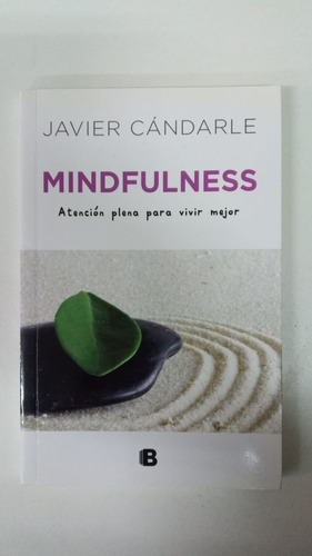 Mindfulness - Javier Candarle - Formato Grande