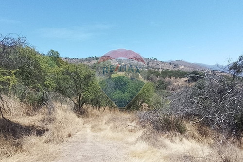 Oasis La Campana Parcela Rebajada