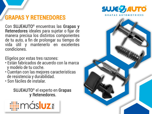 Grapa De Presión Nylon Bca-negra Sujeauto Ford-pick Up 2005