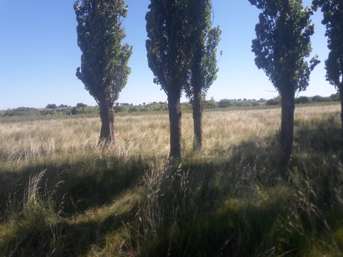 Al1086/p Venta Campo 53 Hectareas En Estacion Solis Minas Lavalleja