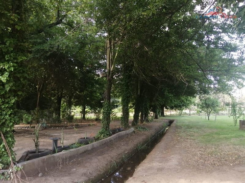 Sitio En Venta En Talca