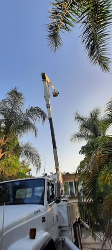 Imagen 4 de 7 de Camión Hiab Con Canastilla Freightliner Tipo Bucket Truck