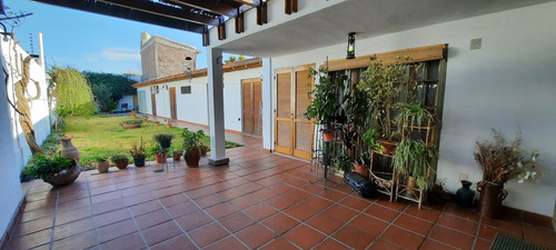 Alquiler Casa En Mendoza 3 Habitaciones, Cochera, Jardin