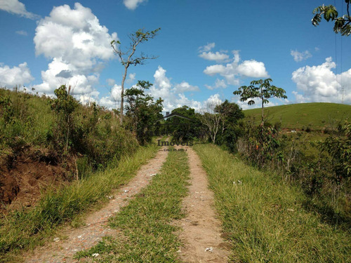 Imagem 7 de 8 de Chácara À Venda No Bairro Rocinha - Guaratinguetá/sp - Ch143