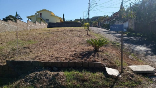 Terreno À Venda, 757 M² Por R$ 350.000,00 - Vila Nova - Porto Alegre/rs - Te0720