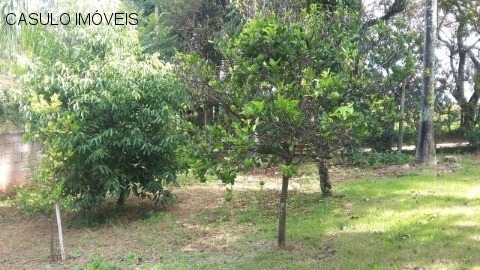 Rural - Venda - Traviu - Cod. 2277 - V2277