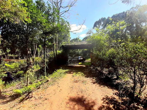 Imagem 29 de 29 de Chácara À Venda, 5000 M² Por R$ 300.000,00 - Borda Do Campo - São José Dos Pinhais/pr - Ch0065
