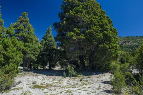 Imagen 3 de 10 de Venta Lote 2500 M2 En Peninsula - Meliquina Fraccion Iv