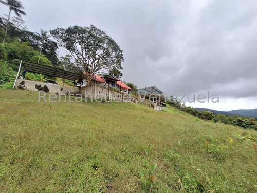 Terreno En Venta En La Colonia Tovar Cda 25-5824 Yf