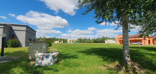 Venta Lote Terreno Área 60 Con Planos ..