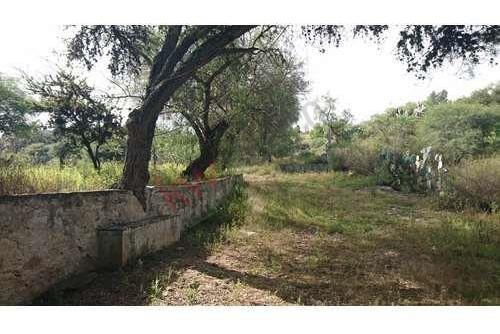 Imagen 13 de 25 de Venta Terreno 25 Mil M2 Cadereyta Queretaro Cerca De Peña De Bernal Tequisquiapan San Juan Del Rio Viñedos Quesos Planetario