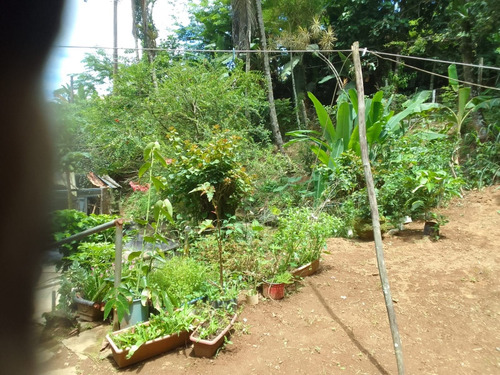 Sítio Com Terreno 30.000m2