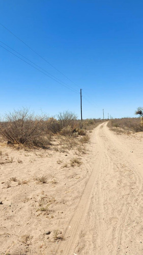 Campo En Venta En Las Catitas, Santa Rosa, Mendoza
