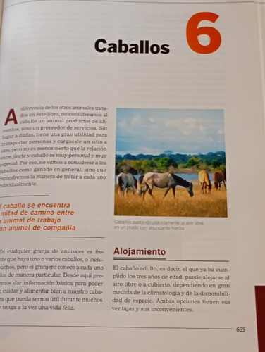 Manual De Crianzas De Animales - Mas Tecnico Apicultor