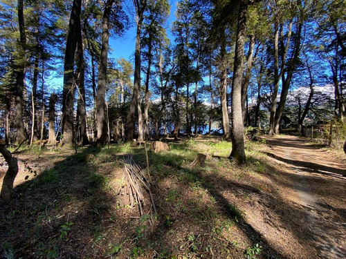Imagen 17 de 19 de Terreno - El Trébol