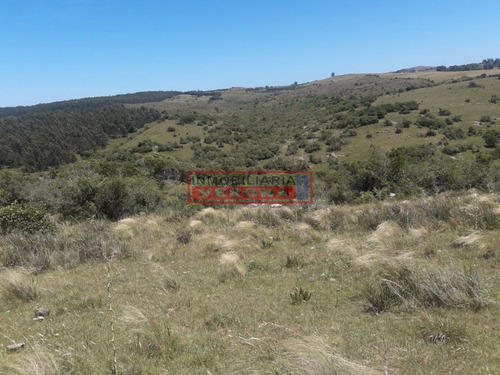 Imagen 9 de 16 de Campo En Carape - Departamento De Maldonado