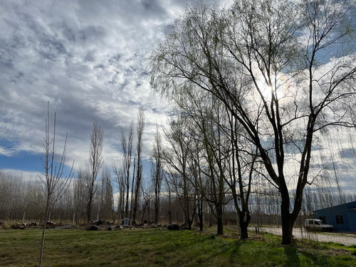 Lote En Venta Barrio Las Patricias, General Roca, Río Negro
