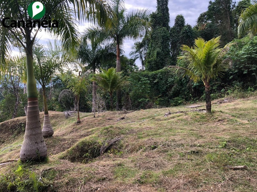 Ótimo Terreno A Venda - 9.000m2 Com Vista Panorâmica - Bairro Morro São João - Cananéia/sp - Te00048 - 68497510